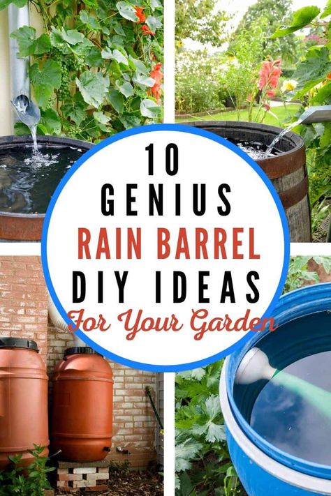 Harvesting Rain Water Ideas, Water Catchment Rainwater Harvesting, Rain Water Runoff Ideas, Rain Barrel For Garden, Collect Rainwater For Garden, Diy Small Rain Barrel, How To Build A Rain Barrel, Rainwater Storage Ideas, Garden Water Storage Ideas