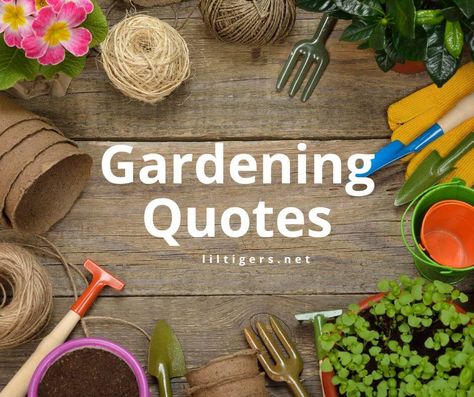 My Garden Quotes, Garden Phrases, Garden Quotes Inspirational, Quotes About Gardening, Sayings For Kids, Gardening Quotes Inspirational, Quotes For Adults, Garden Sayings, Garden Quotes Signs