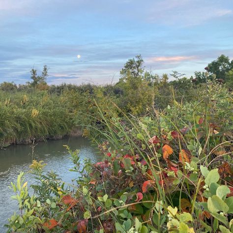 09/14 Moon and creek views. Moon, Instagram