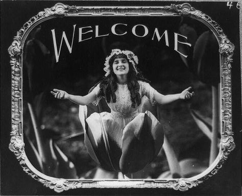 Welcome Welcome Movie, Vintage Movie Theater, Movie Theater Decor, Funny Vintage Photos, Welcome Photos, At Home Movie Theater, Go To Movies, Silent Movie, Title Card