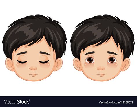 Eyes Vector, Eyes Clipart, Cartoon Eyes, Boy Face, Cartoon Boy, Vector Cartoon, Closed Eyes, Flash Cards, Close Your Eyes