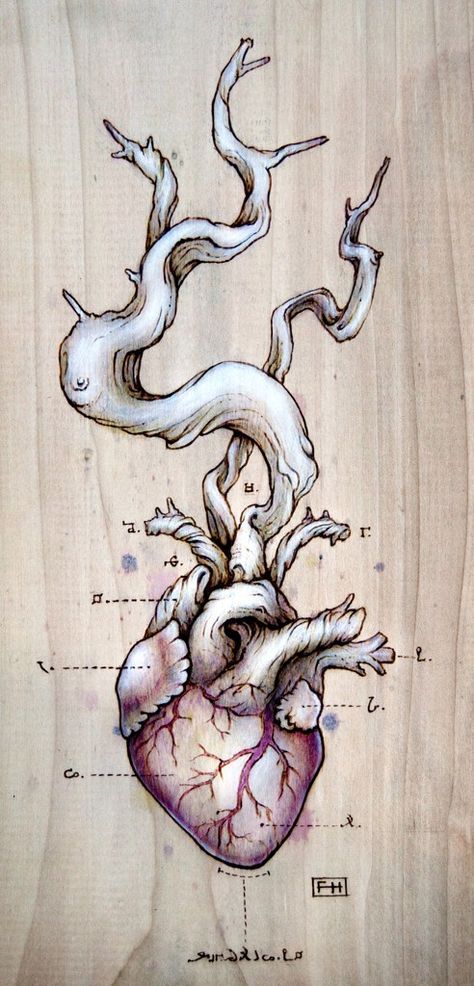 Driftwood Heart, Kunst Tattoos, Desenho Tattoo, Human Heart, Art And Illustration, Anatomy Art, Heart Art, Heart Tattoo, A Drawing