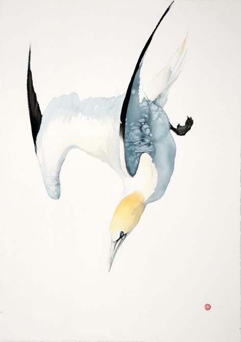 Gannet Bird, Karl Martens, Bird Artists, Screen Printing Art, Art Tutorials Watercolor, Nature Sketch, Detailed Paintings, Wildlife Paintings, Bird Artwork