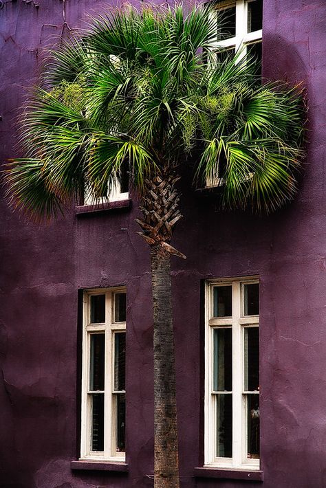 Aubergine Colour, Charleston Style, Eggplant Color, Purple Paint, Purple Walls, Back Gardens, Vintage Aesthetic, Shades Of Purple, Exterior Paint