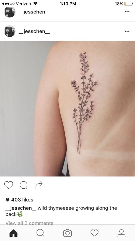 Thyme. I want it in lavender. Wild Thyme Tattoo, Thyme Herb Tattoo, Thyme Flower Tattoo, Thyme Plant Tattoo, Wild Mountain Thyme Tattoo, Lyre Tattoo, Wild Mountain Thyme, Herb Tattoo, Dandelion Drawing