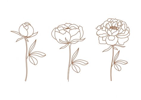 Peony Line Art, Peony Logo, Peony Drawing, Line Art Tattoo, Flower Vector, Line Art Tattoos, Peony Flower, Adobe Stock, Flower Tattoo