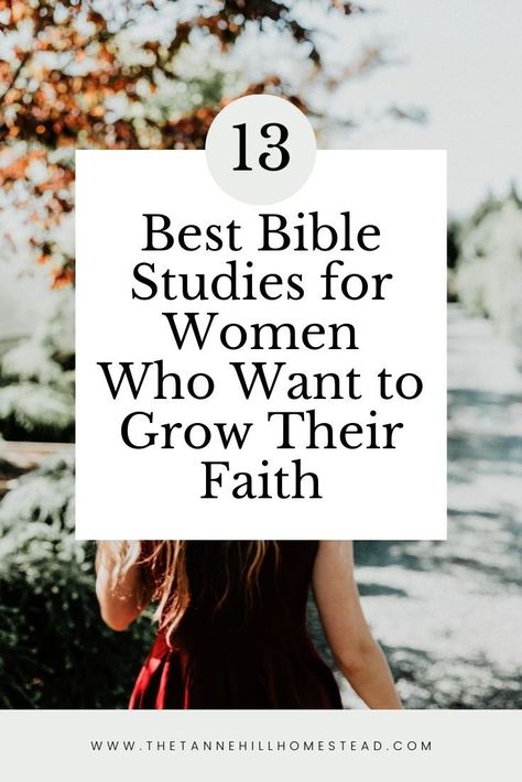 Guided Bible Study For Women, Daily Bible Devotions For Women, Best Bible For Beginners, Best Study Bibles For Women, Bible Reading For Women, Single Woman Bible Study, 2024 Bible Study, Women’s Devotional Bible, Best Bible For Women