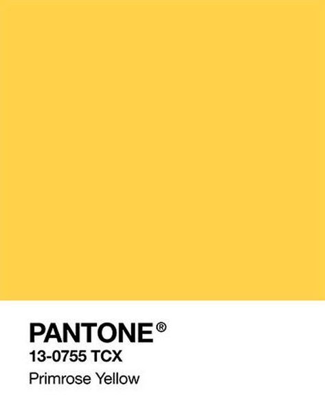 Tommy Coolatta, Huffle Puff, Pantone Wall Art, Pantone Wall, Pantone Poster, Pantone Print, Yellow Collage, Colour Home, Dinah Lance