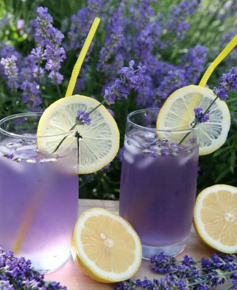 Drink Recipes Nonalcoholic, Lavender Lemonade, Lavender Aesthetic, Garden Coffee, Fruit Infused Water, Lavender Garden, Lavender Tea, Fruit Photography, Wedding Scene