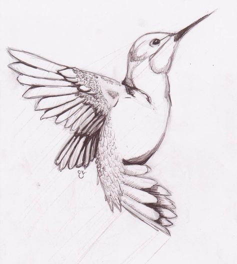 Bored Sketch, Hummingbird Drawing, Bird Sketch, Hummingbird Art, Pencil Pen, Humming Bird, Pencil Art Drawings, Animal Sketches, Bird Drawings