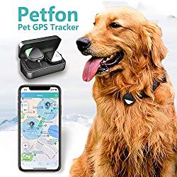 Gifts For Rv Owners, Dog Tracker, Pet Tracker, Mini Gps Tracker, Time Tracking, Dog Fence, Tracking Device, Dog Gear, Gps Tracking