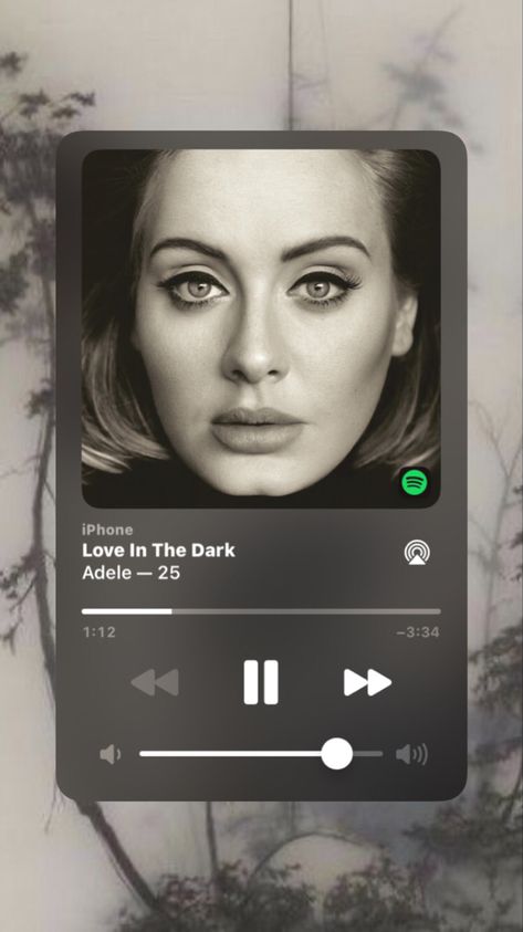 instagram story song aesthetic spotify adele love in the dark by adele Love In The Dark Adele Spotify, Love In The Dark Adele, Adele Poster, Adele Albums, Adele Lyrics, Love In The Dark, Adele 25, Adele Music, Adele Love