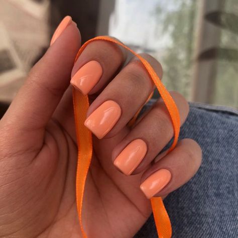 Orange Milky Nails, Salmon Orange Nails, Orange Nails By Skin Tone Range, Orange Nails Natural, Pastel Orange Nails Peach, Baby Orange Nails, Pinkish Orange Nails, Nails For Orange Dress, Pinky Orange Nails