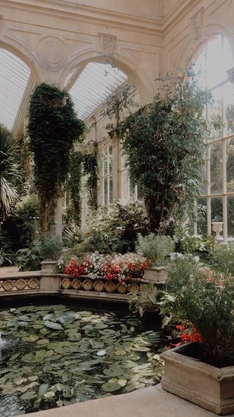 Keri-Anne Pink on Instagram: “A gentle walk through the Victorian orangery with the sun streaming in #cottagecore #cottagecoreaesthetic #castleashby #orangery…” Keri Core, The Orangery, Victorian Orangery, Anne Core, Victorian Sunroom, Conservatory Garden, Victorian Garden, Victorian Cottage, Cottage Core Aesthetic