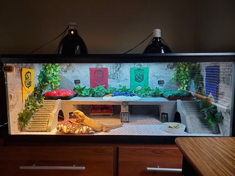 Bearded Dragon Habitat Bearded Dragon Terrarium Decor, 4x2x2 Bearded Dragon Enclosure, Aesthetic Bearded Dragon Cage, 120 Gallon Bearded Dragon Tank, 40 Gallon Bearded Dragon Tank Ideas, Potter Mansion, Snake Tank Setup, Beardie Tank, Diy Reptile Enclosure