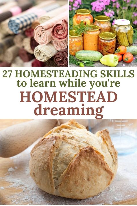 Homesteading Diy, Homestead Farm, Homestead Gardens, Homesteading Skills, Homestead Survival, Hobby Farms, Skills To Learn, Canning Recipes, Natural Living