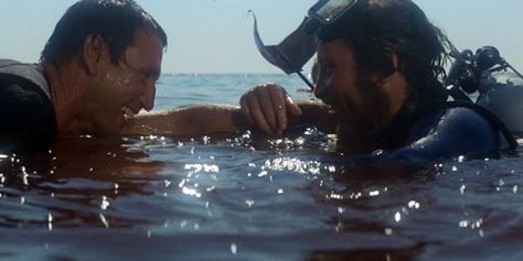 matt hooper and martin brody from jaws 1975 Matt Hooper, Martin Brody, Jaws Film, Jaws 1975, Jaws 2, Richard Dreyfuss, Ella Enchanted, Jaws Movie, Perfect Movie