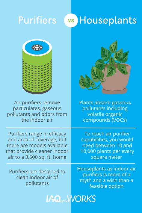 Air Purifier Benefits, Burning Bay Leaves, Homemade Detergent, Herbal Coffee, Natural Air Purifier, Smoothie Bowl Healthy, Diy Snacks, Homemade Laundry Detergent, Homemade Cleaning Solutions