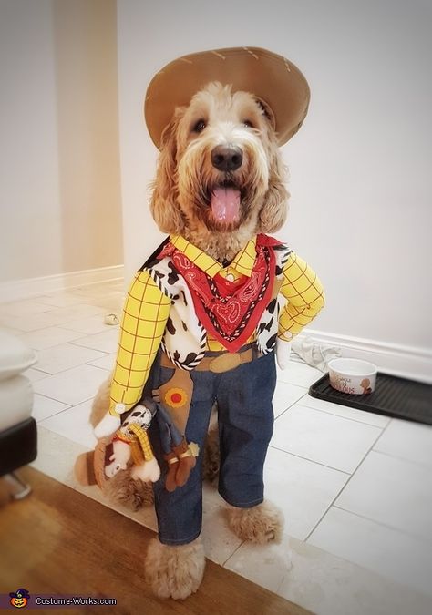 Woody the Cowboy - Halloween Costume Contest Woody Costume For Dog, Unique Dog Costumes, Costumes For Pets, Dog Costumes For Halloween, Sheriff Costume, Costume Last Minute, Last Minute Costume Ideas, Cowboy Halloween Costume, Best Dog Costumes