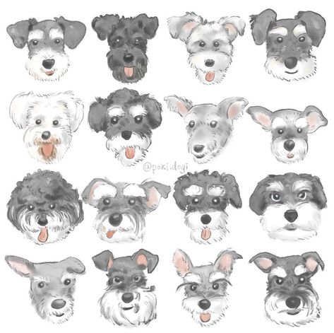 Schnauzer Illustration, Schnauzer Drawing, Schnauzer Art, Dog Illustration, Draw Something, Cute Easy Drawings, Dog Pattern, Animal Paintings, Watercolor Print