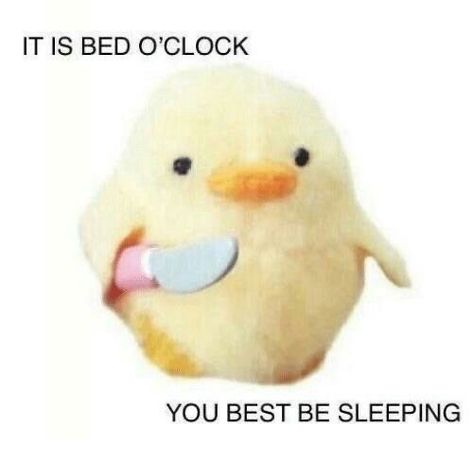 Duck Memes, Sleep Meme, Funny Af Memes, Response Memes, Snapchat Stickers, Cute Love Memes, Cute Messages, A Silent Voice, It Goes On