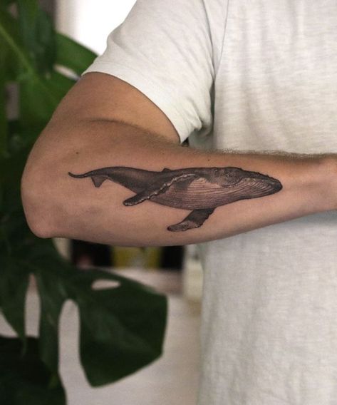 Humpback Whale Tattoo Whale Shoulder Tattoo, Whale Back Tattoo, Grey Whale Tattoo, Whale Tattoo Men, Whale Tattoo Arm, 52 Hertz Whale Tattoo, Humpback Tattoo, Blue Whale Tattoo, Alberto Martini