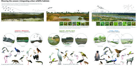 Urban Habitat, Bird Migration, Architecture Graphics, Architecture Drawing Art, Wildlife Habitat, Urban Fabric, Urban Environment, Rural Landscape, Urban Area