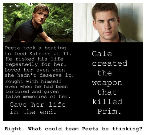 Team Peeta VS Team Gale. Such a hard choice! Hunger Games Quotes Peeta, Hunger Games Funny, Text Pic, Team Peeta, Hunger Games Jokes, Team Gale, Games Quotes, Hunger Games Peeta, Hunger Games Memes