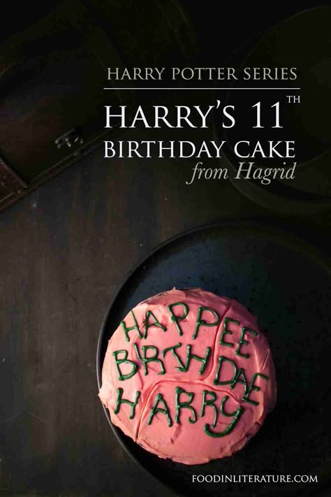 Harry's 11th Birthday Cake from Hagrid | InLiterature Harry Potter Baby Birthday, Sticky Chocolate Cake, Hp Birthday Party, Harry Potter Sweets, Harry Potter Treats, Harry Potter Snacks, Happy Birthday Harry Potter, Harry Potter Birthday Cake, Cumpleaños Harry Potter