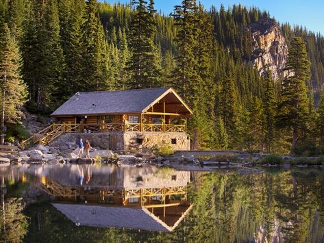 Main image Lake Agnes Tea House, Lake Louise Banff, Lake Agnes, Fairmont Chateau Lake Louise, Chateau Lake Louise, House Lake, Canada Road Trip, Parks Canada, Hiking Destinations