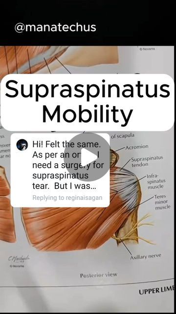 ManaTechUS on Instagram: "Replying to @reginaisagan Supraspinatus Mobility. 
Treating a supraspinatus tear non-surgically involves a combination of rest, physical therapy, and sometimes alternative therapies. Here are some comprehensive non-surgical options: 

Rest and Activity Modification: 
Identify and avoid activities that exacerbate the pain, such as overhead movements or lifting heavy objects. 
Allow time for the shoulder to heal by resting it, but avoid complete immobilization to prevent stiffness. 

Physical Therapy Exercises: 
*Supraspinatus Mobility *Pendulum Swings *Passive Shoulder Flexion *Isometric Exercises *External and Internal Rotation *Scapular Stabilization *Cross-Body Arm Stretch *Sleeper Stretch 

Alternative Therapies: 
*Massage Therapy *Acupuncture 

Non-surgical tr Supraspinatus Tendon Tear, Axillary Nerve, Isometric Exercises, Shoulder Pain Relief, Physical Therapy Exercises, Alternative Therapies, Acupuncture, Massage Therapy, Physical Therapy