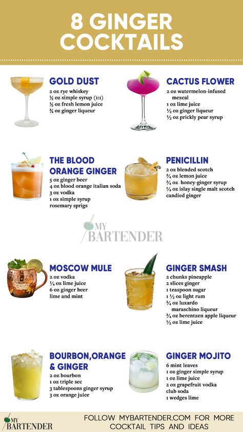 Ginger Cocktails Ginger Alcoholic Drink, Ginger Beer Drinks Cocktails, Biology Cocktails, Alcoholic Drinks With Ginger Beer, Ginger Ale Cocktail Recipes, Cocktails With Ginger Beer, Alcoholic Drinks With Ginger Ale, Ginger Ale Mixed Drinks, Ginger Drinks