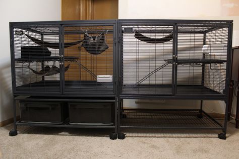 double single unit Critter Nation Single Critter Nation Cage Ideas, Small Rat Cage, Big Rat Cage, Pink Rat Cage, Fancy Rat Cage, Critter Nation Cage, Critter Nation Rat Cage, Rat Cage, Rats