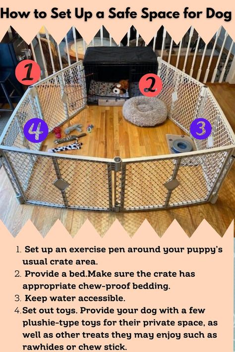 Whether it’s because you want a place for your dog to rest, a safe place for your dog when you go out, or simply to give your dog a comfortable space of their own, there is often a good reason to designate a space specifically for your dog. Giving your dog a private space can help them feel secure, comfortable, and more at ease in the house. It can also give them a retreat if you have multiple dogs. Dog Play Pin Indoor, Diy Puppy Playpen Indoor, Dog Playpen Ideas, Foster Dog Room, Puppy Space Ideas, Puppy Proofing House Ideas, Dog Indoor Play Area, Dog Places In House, Dog Play Pen Indoor