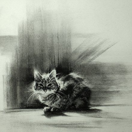 Lindsey Kustusch, Charcoal Artwork, Cats Art Drawing, Album Artwork Cover Art, Art Charcoal, Cat Sketch, Charcoal Sketch, Afternoon Sun, Drawing Animals