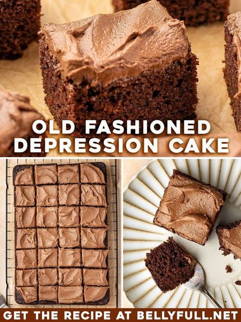 Chocolate Wacky Cake, Crazy Cake Recipes, Wacky Cake Recipe, Retro Cake, Delicious Chocolate Cake, Wacky Cake, Quick Cake, Chocolate Cake Recipe Easy, Cake Simple