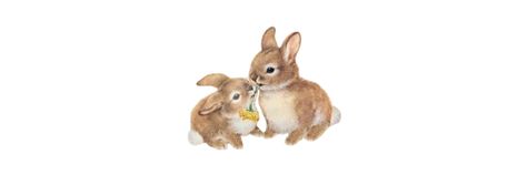 Rabbit Twitter Header, Rabbit Widget, Bunny Header, Brown Banner, Twt Banner, Notion Header, Long Widget, Rabbits Cute, Green Header