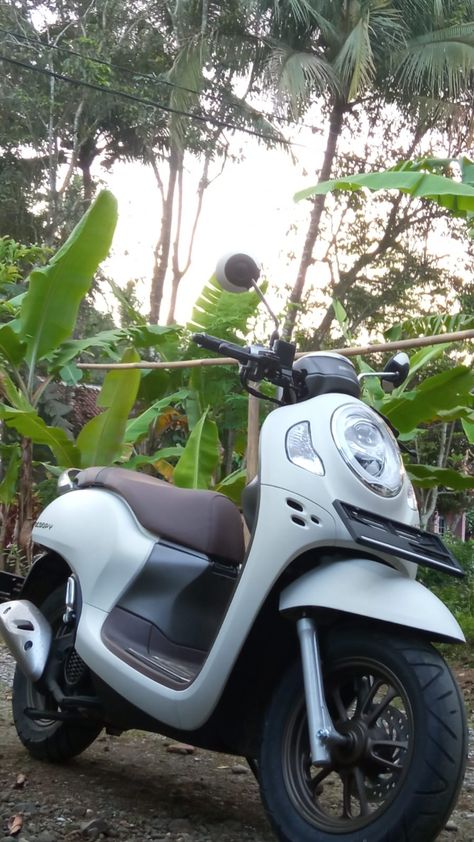 Scoopy Honda Aesthetic, Scoopy Honda, Honda Scoopy, Aesthetic Picture, Naruto Uzumaki, Aesthetic Pictures, Hair Color, Quick Saves, Color