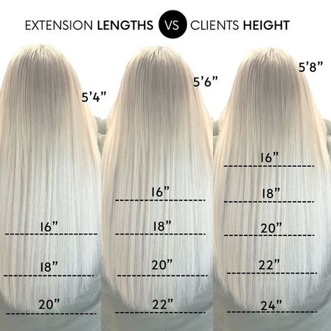 HAIR EXTENSION SALON | BELLAMI PRO REGIONAL & DIGITAL EDUCATOR on Instagram: "‼️This is the most OVERLOOKED topic DURING EXTENSION CONSULTATIONS‼️ ✋🏼How many times can you raise your hand if you had a guest TELL YOU what length they wanted then you installed the length but it was WAYYY LONGER than anticipated or perhaps it was a little SHORTER? ✨✨I want you to LOOK at the chart. Next, think of the EXAMPLE ABOVE as 3 separate guests with 3 different heights. All 3 guests want their length just Cost Of Hair Extensions, Hair Extension Length Chart Bellami, Hair Extensions Tape Ins, Hair Extension Model Call, 16 In Hair Extensions, Different Hair Extensions Types, Volume Weft Hair Extensions, 16” Hair Extensions, Hair Extension Length Chart