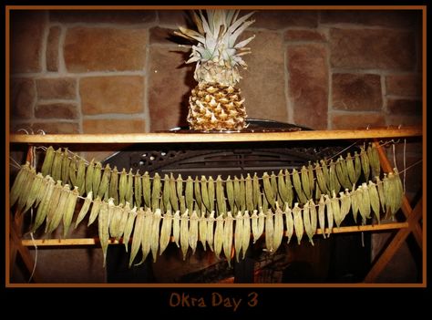 Drying Okra For Crafts, Dried Okra Decorations, Dried Okra Crafts, Okra Crafts, Dried Garland, Dried Okra, Okra Recipes, Prim Decor, Primitive Furniture