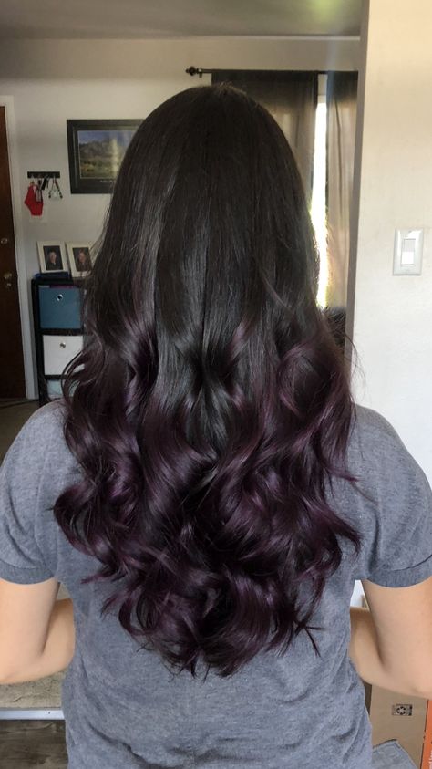 Purple Hair Dye On Black Hair, Dark Purple Almost Black Hair, Dark Purple Ends Hair, Brown To Dark Purple Ombre Hair, Hair Colour Purple Dark, Dark Brown To Purple Hair, Dark Purple On Brown Hair, Partial Purple Hair, Purple Ends On Brown Hair