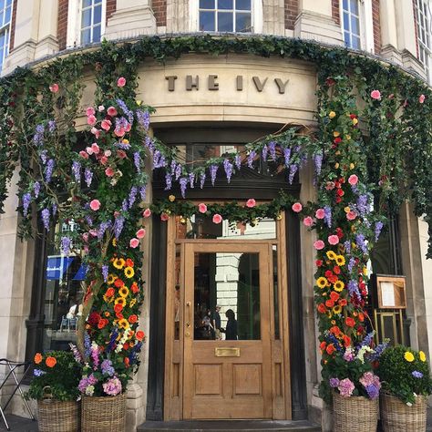 The Ivy in York. York in Bloom 2018 created by Kathrine Armstrong Bisson The Ivy, Northern Italy, Nature Aesthetic, Pretty Places, In Bloom, تصميم داخلي, Places To See, Aesthetic Pictures, Perfect Place