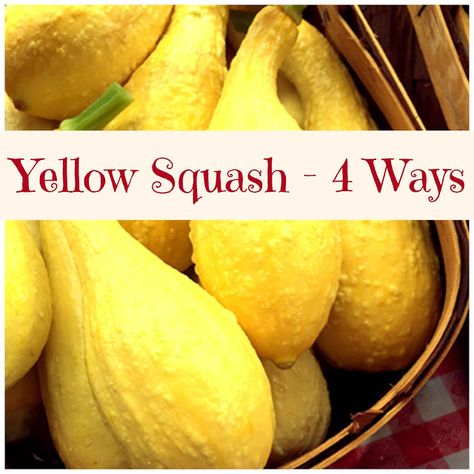 Yellow Summer Squash - 4 Ways Yellow Long Neck Squash Recipes, Yellow Summer Squash Recipes Simple, Yellow Crooked Neck Squash Recipes, Yellow Crookneck Squash Recipes, What To Do With Yellow Squash, Crookneck Squash Recipes, Freezing Yellow Squash, Baked Yellow Squash, Cooking Yellow Squash