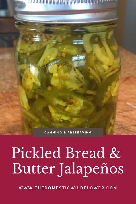 These pickled jalapeño peppers are sweet and tangy and not overly spicy. Click through for a recipe for pickled bread and butter jalapeños and a few clever techniques for keeping your sweet and sour pickles crisp and delicious. #canningpickles #pickledjalapenos #jalapenorecipes #canningforbeginners Bread And Butter Jalapenos, Canning Pickles Recipe, Pickled Jalapeno Recipe, Pickled Jalapeno Peppers, Jalapeño Peppers, Sour Pickles, Canning Pickles, Spicy Pickles, Pickled Jalapeño