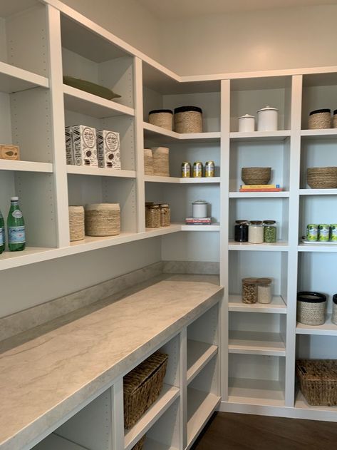 Build Your Own Buffet Ideas, Build Your Own Pantry Shelves, Serving Counter In Kitchen, Narrow Pantry Design Ideas, Awkward Pantry Space, Walk In Pantry Ideas Layout With Fridge, Small Walk In Pantry With Countertop, Walkin Pantry Ideas Storage, Bulk Storage Ideas