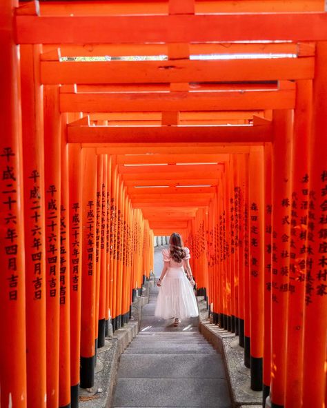 Is Fushimi Inari in your bucket list but you are only staying in Tokyo for a few days? Why not visit the Hie shrine in Tokyo as an alternative?! it’s not thousands of Tori (actually just about 90) but it’s just as beautiful. #hieshrine #tokyo #hiejinja #shrines #tokyotokyo #raw_tokyo #myjapan #torii #wheninTokyo #wheninJapan #sheisnotlost #tsunagujapan #japan_focus #nippon #japan #visitjapan #explorejapan #discoverjapan #japanese #jp #japan_of_insta #japan_vacations #genic_japan #mustseeja... Hie Shrine, Japan Travel Photography, Fushimi Inari, Visit Japan, Japan Post, Staying In, Japan Travel, Bucket List, Travel Photography