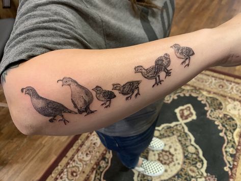 Quail family tattoo #mothersday #tattoo #quailtattoo #family Family Of Ducks Tattoo, Quail Family Tattoo, Bobwhite Quail Tattoo, California Quail Tattoo, Quail Tattoo Ideas, Animal Patchwork Tattoo, Quail Tattoo, Hen Tattoo, Quail Family