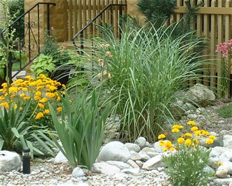 How to Make Your Own Rock Garden | How Did I Do It? Garden Landscaping Design Ideas, Cottage Patio, Garden Rock Border, Rock Garden Design, Rock Gardens, Gravel Garden, Rock Garden Landscaping, Dry Creek, Garden Landscape Design