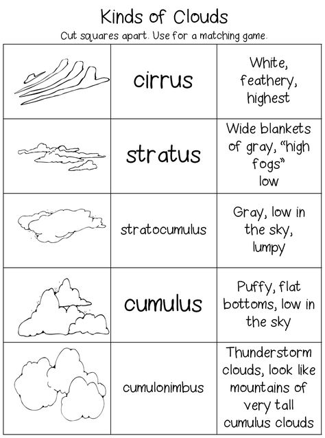 Kinds of Clouds Unit Teaching North South East West In Preschool, Homeschool Weather Unit, Cloud Worksheet, Clouds Worksheet, Kinds Of Clouds, Types Of Clouds, Preschool Weather, Weather Science, Weather Unit