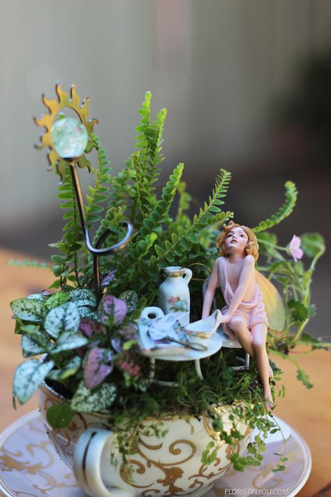 Indoor Fairy Garden Ideas, Jasmine Fairy, Teacup Ideas, Fairy Teacup Garden, Fairy Teacup, Lights Drawing, Drawing Party, James Coleman, Indoor Fairy Garden